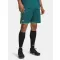 UA M Challenger Train Short