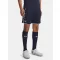 UA M Challenger Train Short