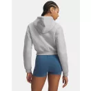 UA Icon Fleece Nov FZ UA Icon Fleece Nov FZ