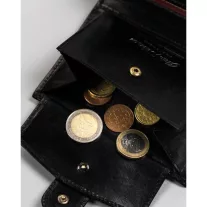 Peterson férfi bőr pénztárca PTN 22308L-VT-E